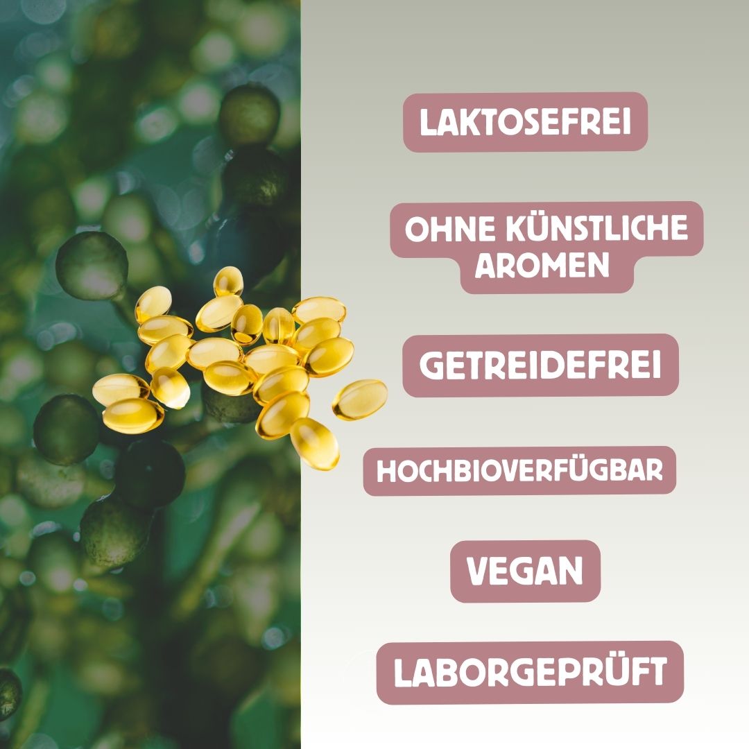 Veganes Omega-3-Komplex