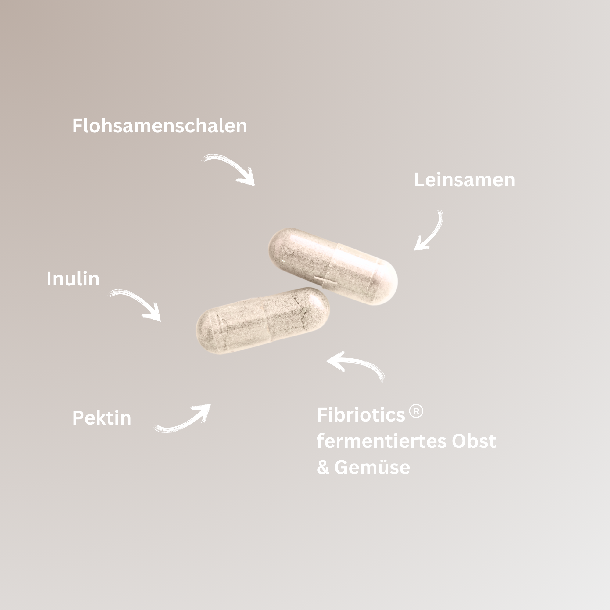 Ballaststoffe+ (NEU)