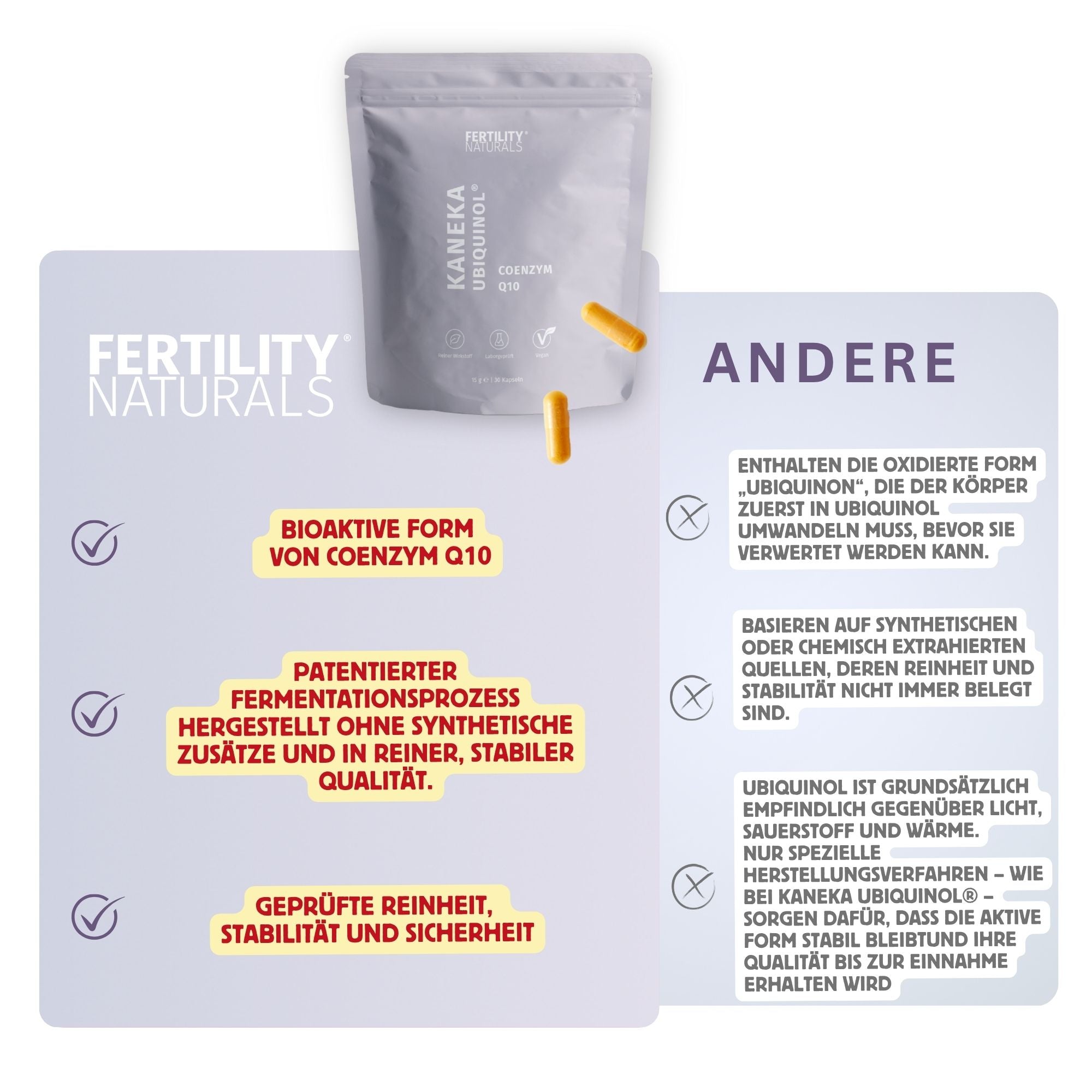 Q10 | Maca | Eisen Bundle (NEU)